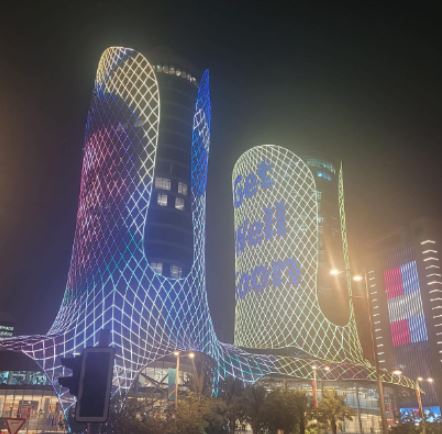 Qatar paid tribute to Rosemeri dos Reis Cholbi ex-husband Pele wishing him a speedy recovery